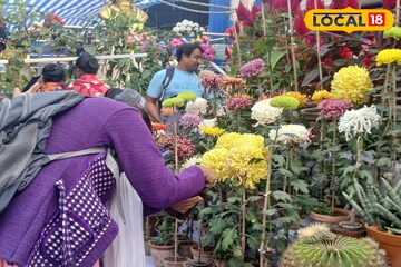 উলুবেড়িয়া বইমেলায় ডাবল ধামাকা! পছন্দের বইয়ের সঙ্গে রংবাহারি গাছের প্রদর্শনী