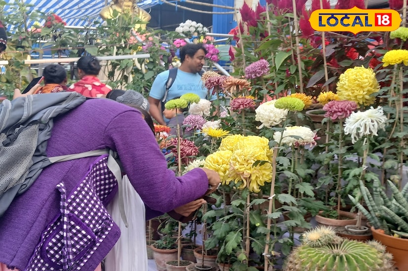 বইমেলার আকর্ষণ গাছ! ফল, ফুল ও বনসাই গাছের মেলা। বনসাই গাছের ভাঁজ দেখে অবাক হয়ে যাচ্ছে বহু মানুষ। সব মিলিয়ে আরও আকর্ষণীয় হয়ে উঠেছে এবারের উলুবেড়িয়া বইমেলা প্রাঙ্গণ। বইমেলার সঙ্গেই পুষ্প মেলা দেখতে ভিড় জমাচ্ছেন মানুষ। তাক লাগানো বিভিন্ন গাছের সঙ্গে সেলফি তোলার হিড়িক। (ছবি ও তথ্যঃ রাকেশ মাইতি)