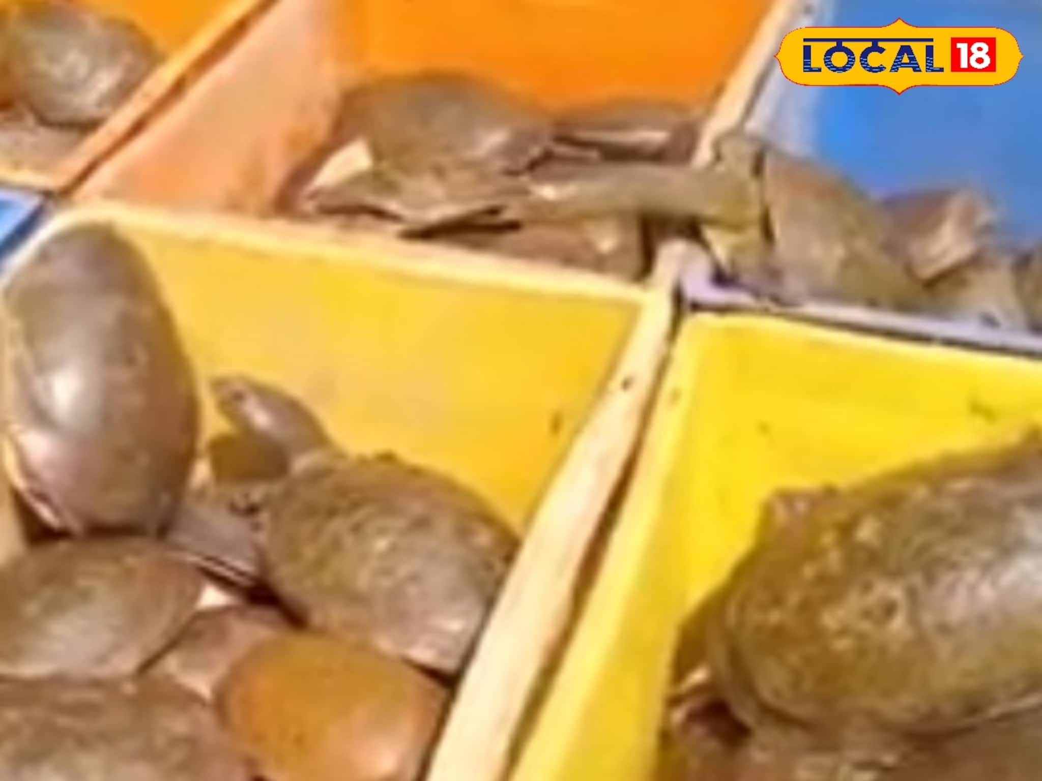 নিষিদ্ধ! শীতকাল পড়তেই বাড়বাড়ন্ত বিক্রি,হচ্ছিল মালামাল,খবর বেরোতেই পুলিশের হানা,সব শেষ