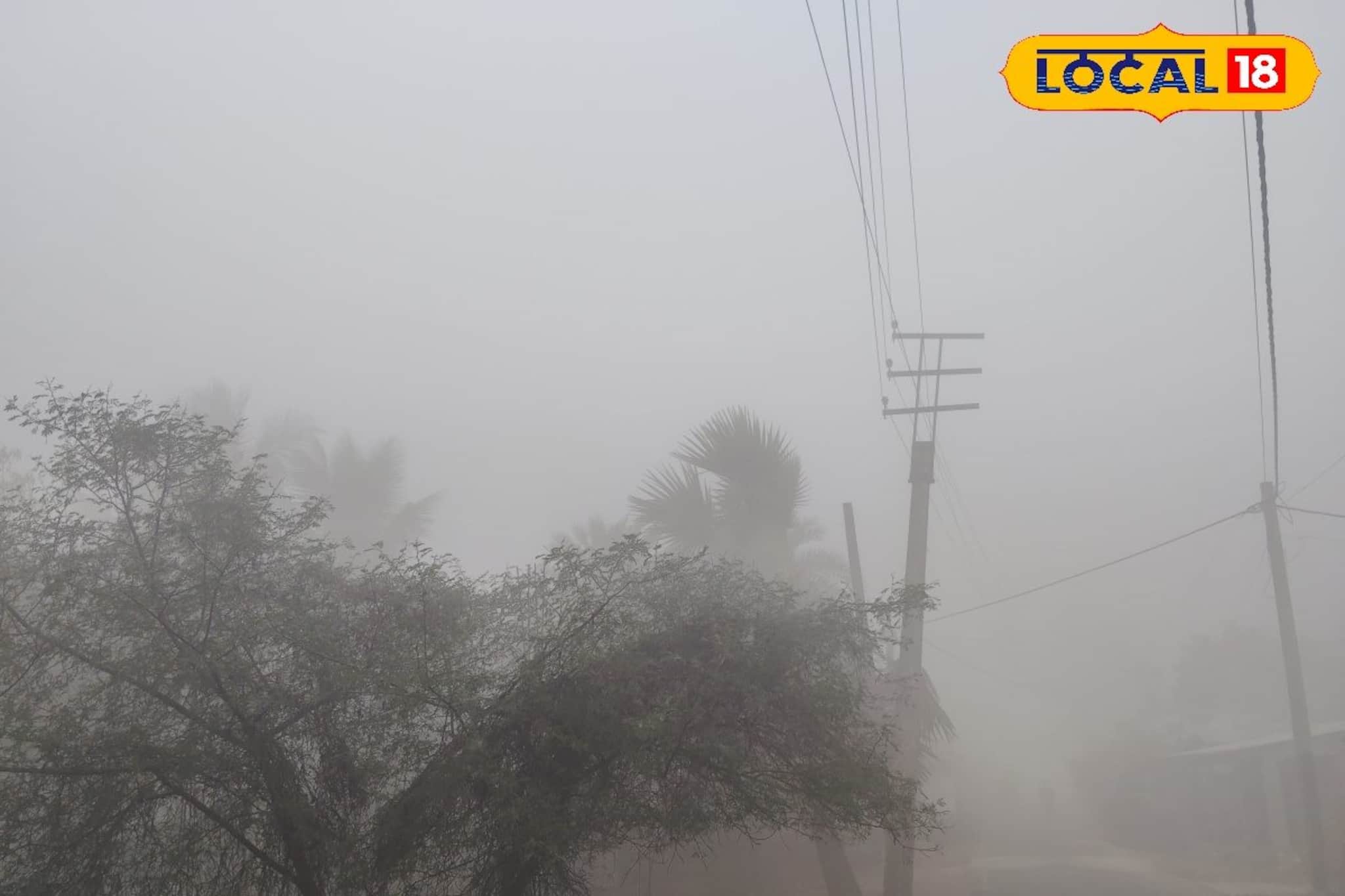 প্রবল ঠান্ডা ও ঘন কুয়াশায় জেরে উপকূলে দৃশ্যমানতা নামল ৩০ মিটারে, অসুবিধা স্বাভাবিক জীবনযাত্রায়