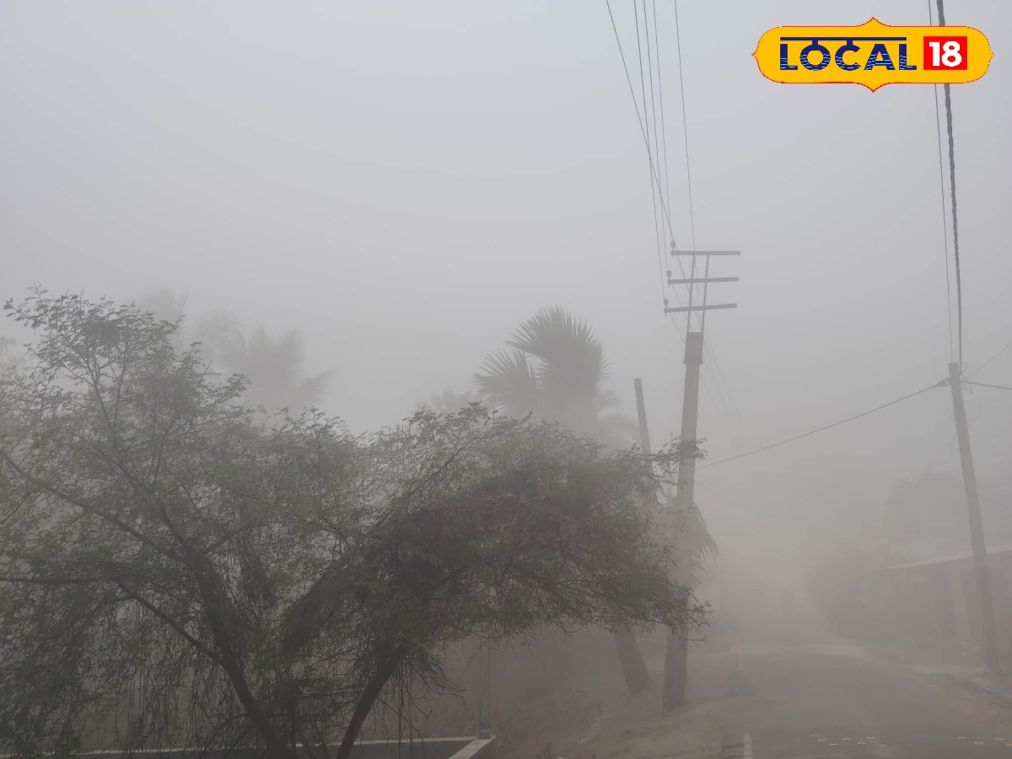 প্রবল ঠান্ডা ও ঘন কুয়াশায় জেরে উপকূলে দৃশ্যমানতা নামল ৩০ মিটারে, অসুবিধা স্বাভাবিক জীবনযাত্রায়