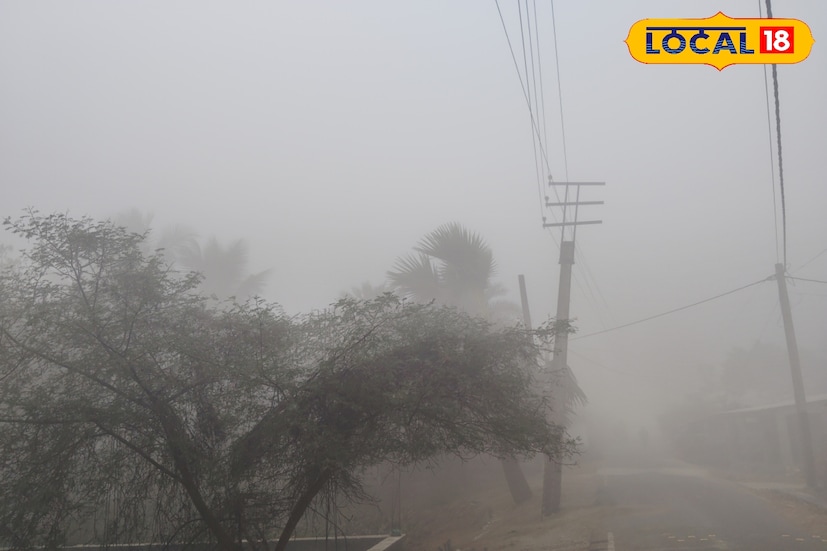 কাকদ্বীপ, দক্ষিণ ২৪ পরগনা, নবাব মল্লিক: প্রবল ঠান্ডা ও ঘন কুয়াশায় জেরে উপকূলে দৃশ্যমানতা নামল ৩০ মিটারে। যার প্রভাব পড়েছে স্বাভাবিক যান চলাচলে। অসুবিধা হচ্ছে স্বাভাবিক জীবনযাত্রায়। ছবি ও তথ্য: নবাব মল্লিক 