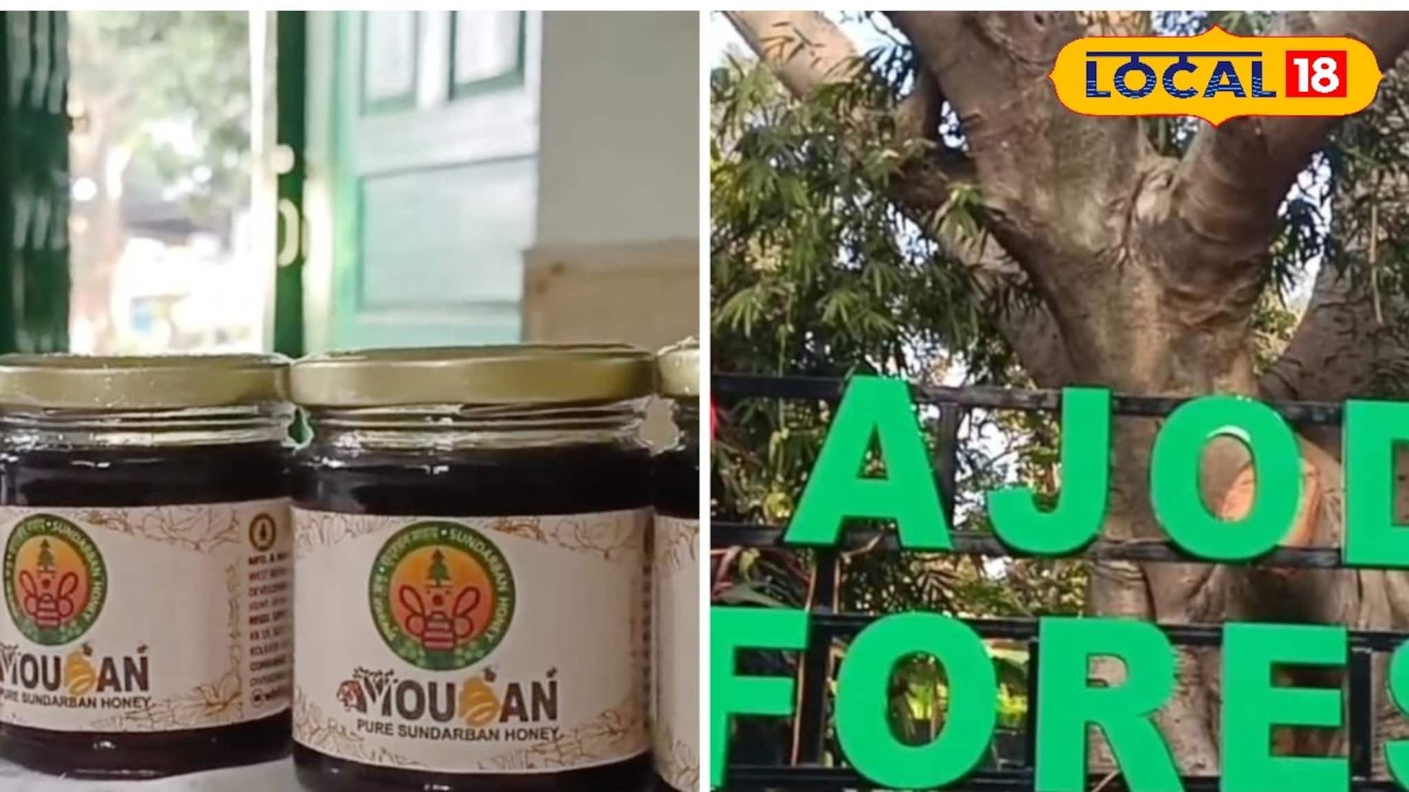 Purulia News : সুন্দরবনের খাঁটি মধু  এবার অযোধ্যা পাহাড়ে, পর্যটকদের নয়া আকর্ষণ!