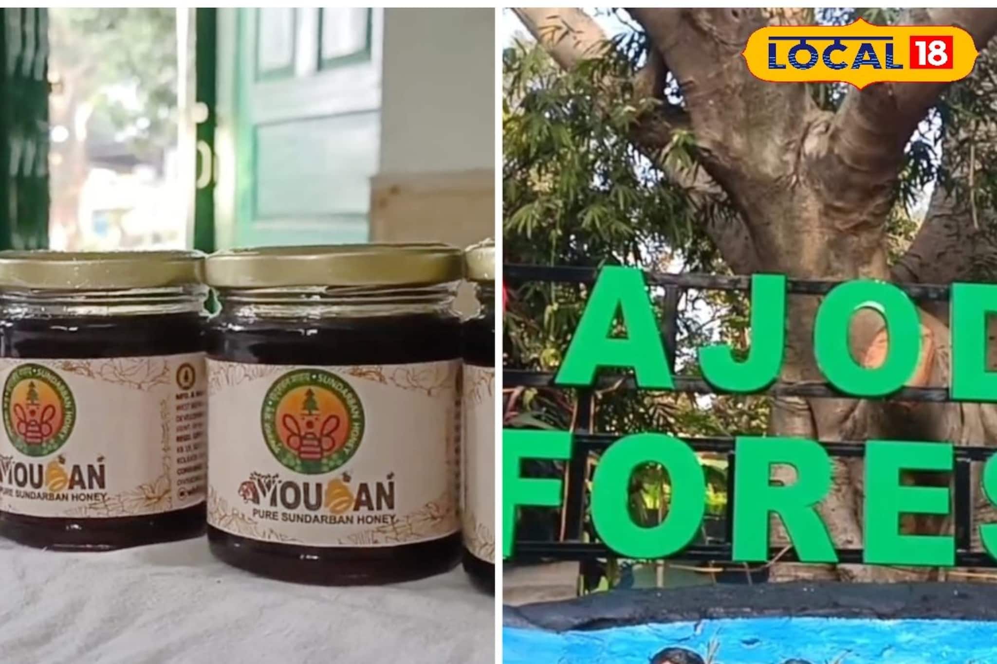 অযোধ্যা পাহাড়ে সুন্দরবনের মধু, পুরুলিয়ার পর্যটনে নতুন সংযোজন !