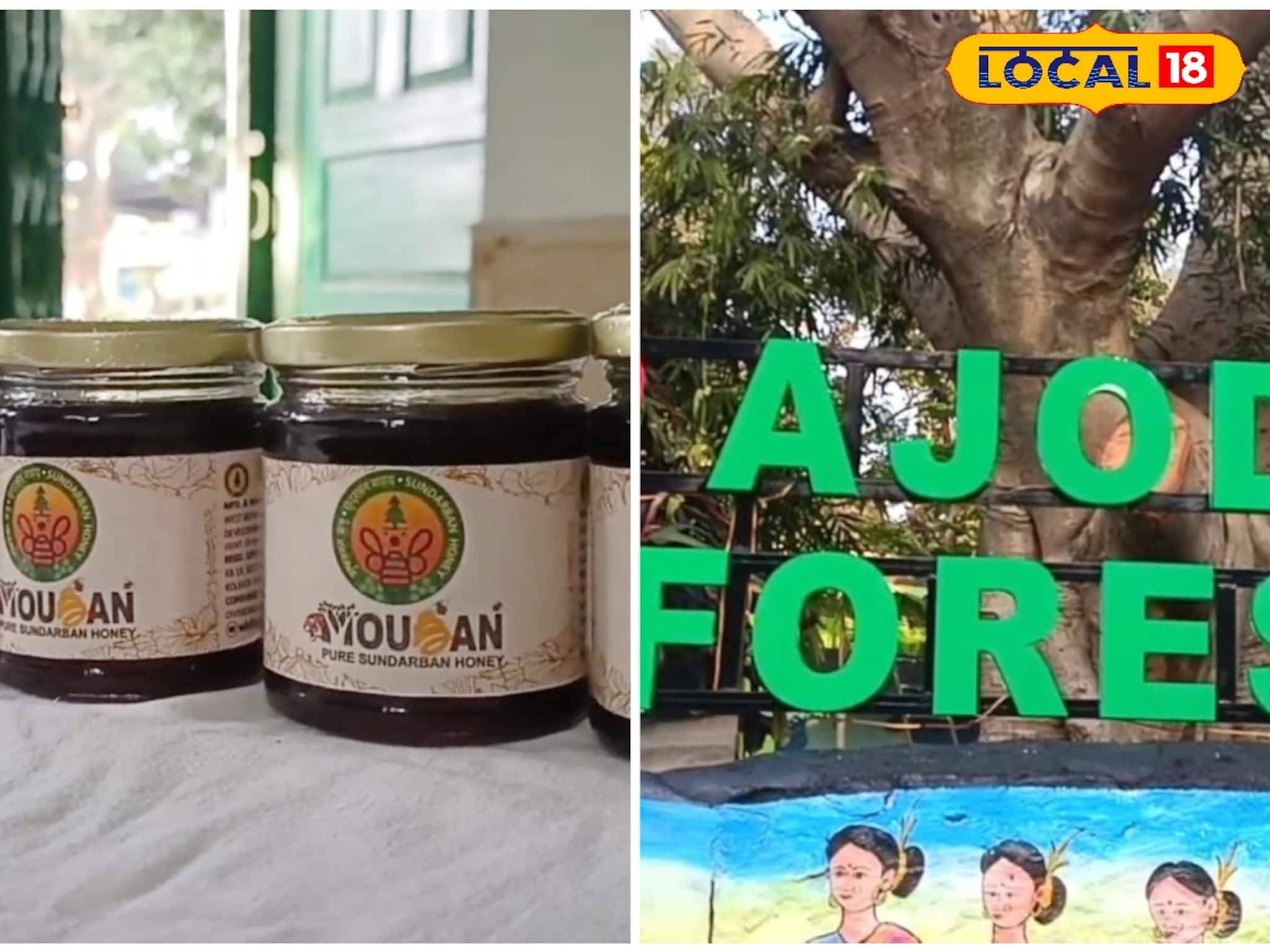 অযোধ্যা পাহাড়ে সুন্দরবনের মধু, পুরুলিয়ার পর্যটনে নতুন সংযোজন ! অযোধ্যা পাহাড়ে সুন্দরবনের মধু, পুরুলিয়ার পর্যটনে নতুন সংযোজন !