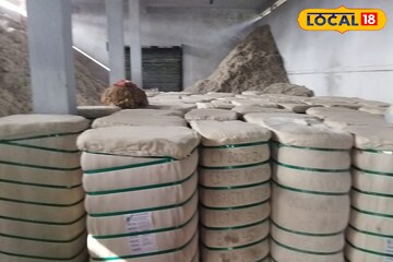 প্রতিকূলতাকে আয়ের সুযোগ  সুন্দরবনের চাষিদের! নোনা জমিতে ফলছে কার্পাস তুলো