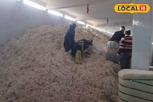 South 24 Parganas News: প্রতিকূলতাকে আয়ের সুযোগ  সুন্দরবনের চাষিদের! নোনা জমিতে ফলছে কার্পাস তুলো