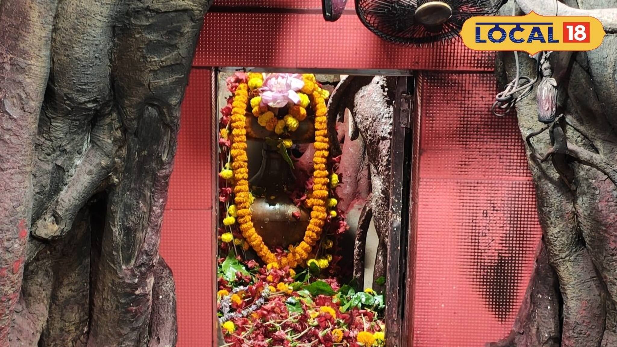 নবদ্বীপে দুশো বছরের প্রাচীন পোড়ামাতা মন্দির পুণ্যার্থীদের কাছে জাগ্রত পুণ্যভূমি