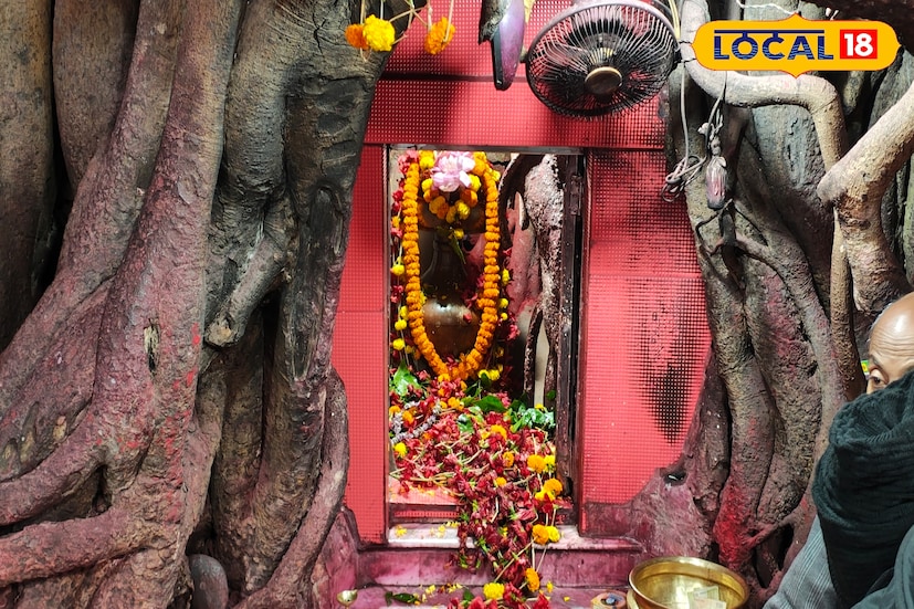 নবদ্বীপের পোড়ামা ও নামকরণের ইতিহাস অত্যন্ত সমৃদ্ধ এবং মনোমুগ্ধকর। ইতিহাস, কিংবদন্তি, ধর্মীয় অনুষঙ্গ, এবং স্থানীয় সংস্কৃতির সংমিশ্রণে নবদ্বীপ একটি বিশেষ স্থান দখল করে রেখেছে বাংলার ইতিহাস ও ঐতিহ্যে।ছবি ও তথ্য: মৈনাক দেবনাথ