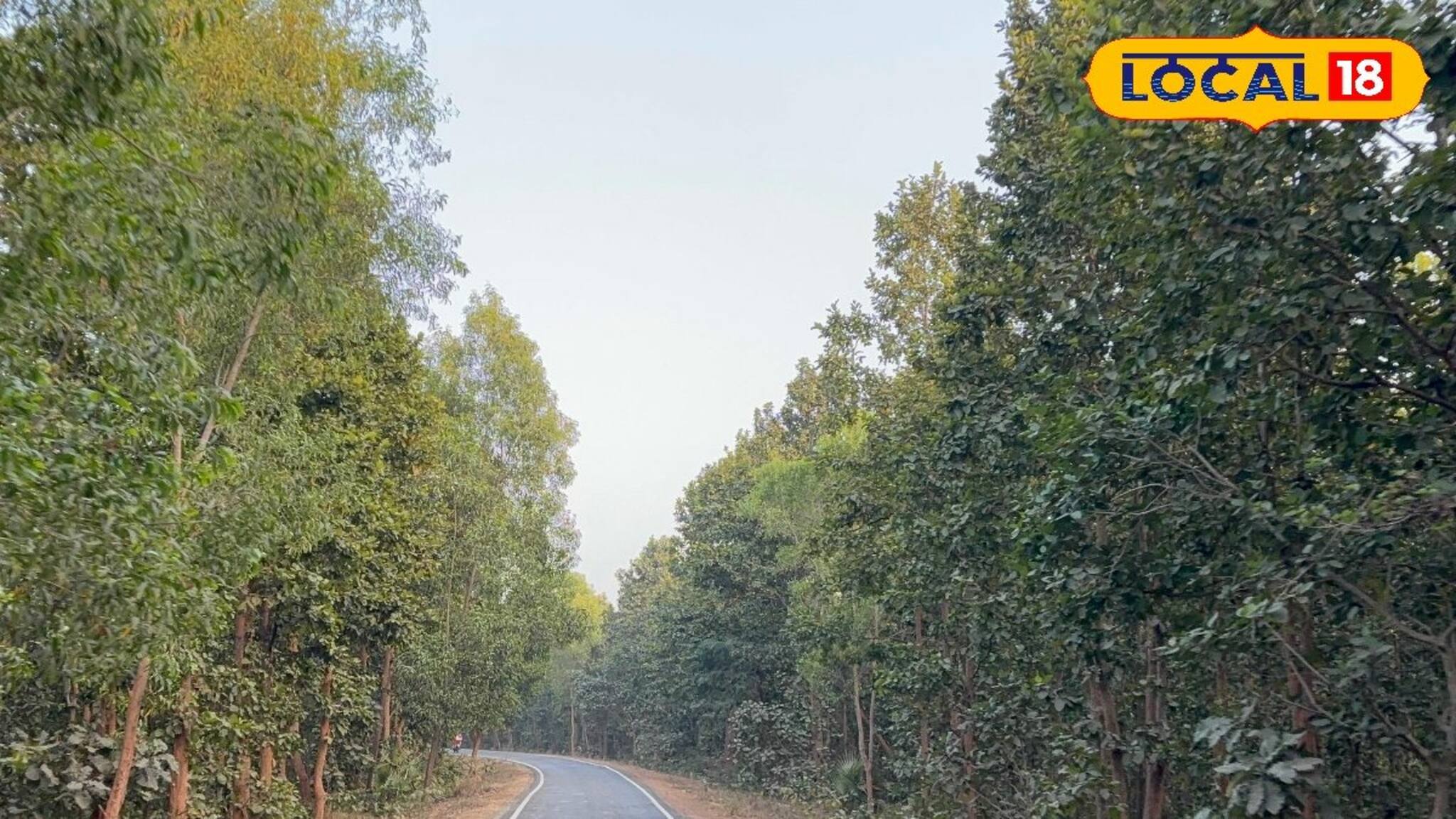 ভাল্কি মাচানে পিকনিক করতে চান?বিশেষ কিছু নিয়ম রয়েছে, জেনে তারপর প্ল্যান করুন