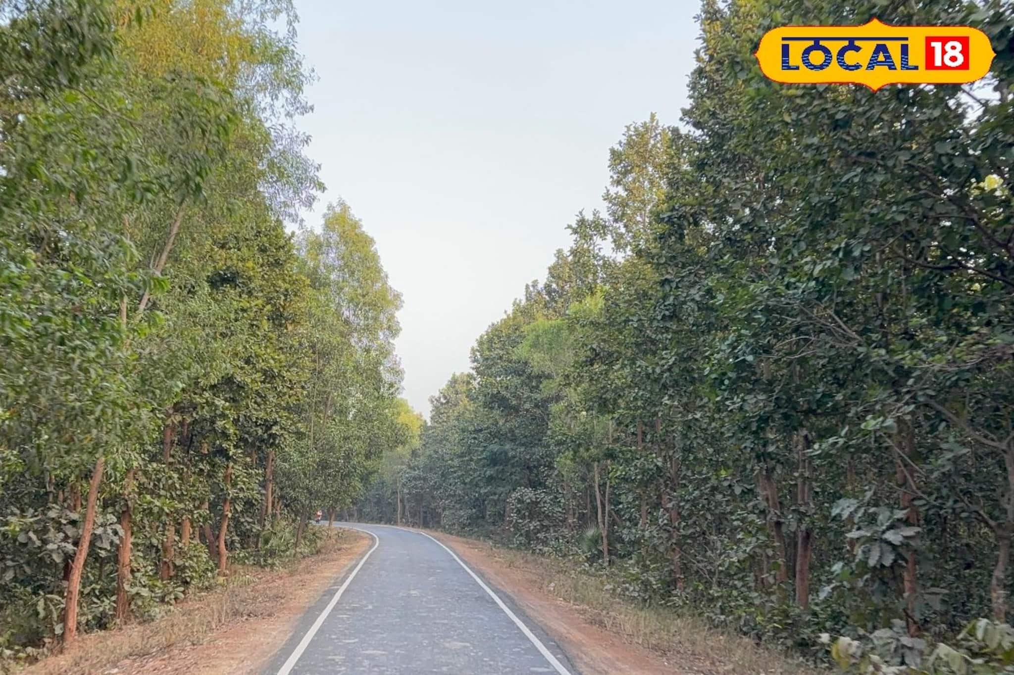 ভাল্কি মাচানে পিকনিক করতে চান?বিশেষ কিছু নিয়ম রয়েছে, জেনে তারপর প্ল্যান করুন ভাল্কি মাচানে পিকনিক করতে চান?বিশেষ কিছু নিয়ম রয়েছে, জেনে তারপর প্ল্যান করুন