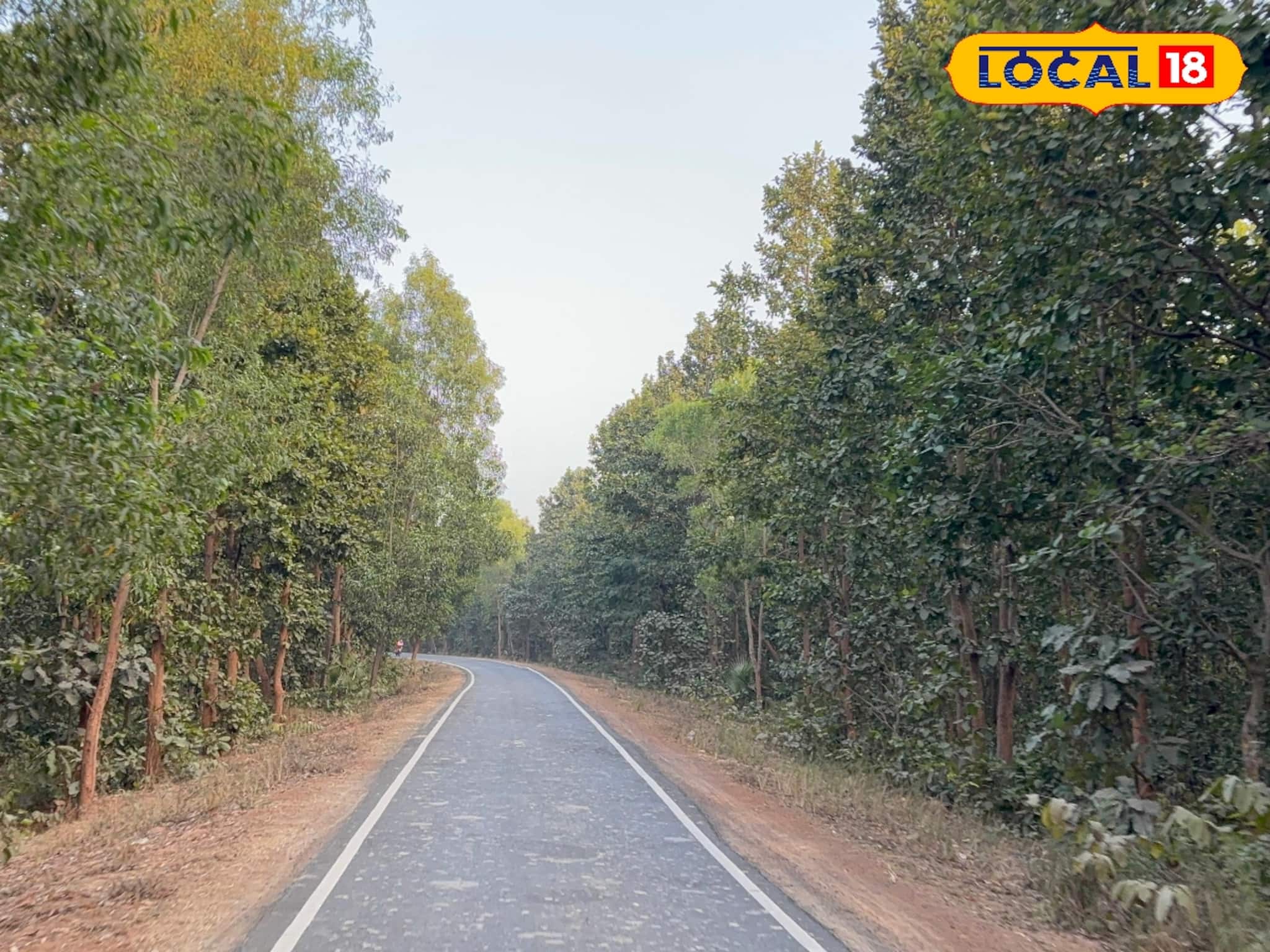 ভাল্কি মাচানে পিকনিক করতে চান?বিশেষ কিছু নিয়ম রয়েছে, জেনে তারপর প্ল্যান করুন