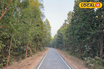 ভাল্কি মাচানে পিকনিক করতে চান?বিশেষ কিছু নিয়ম রয়েছে, জেনে তারপর প্ল্যান করুন