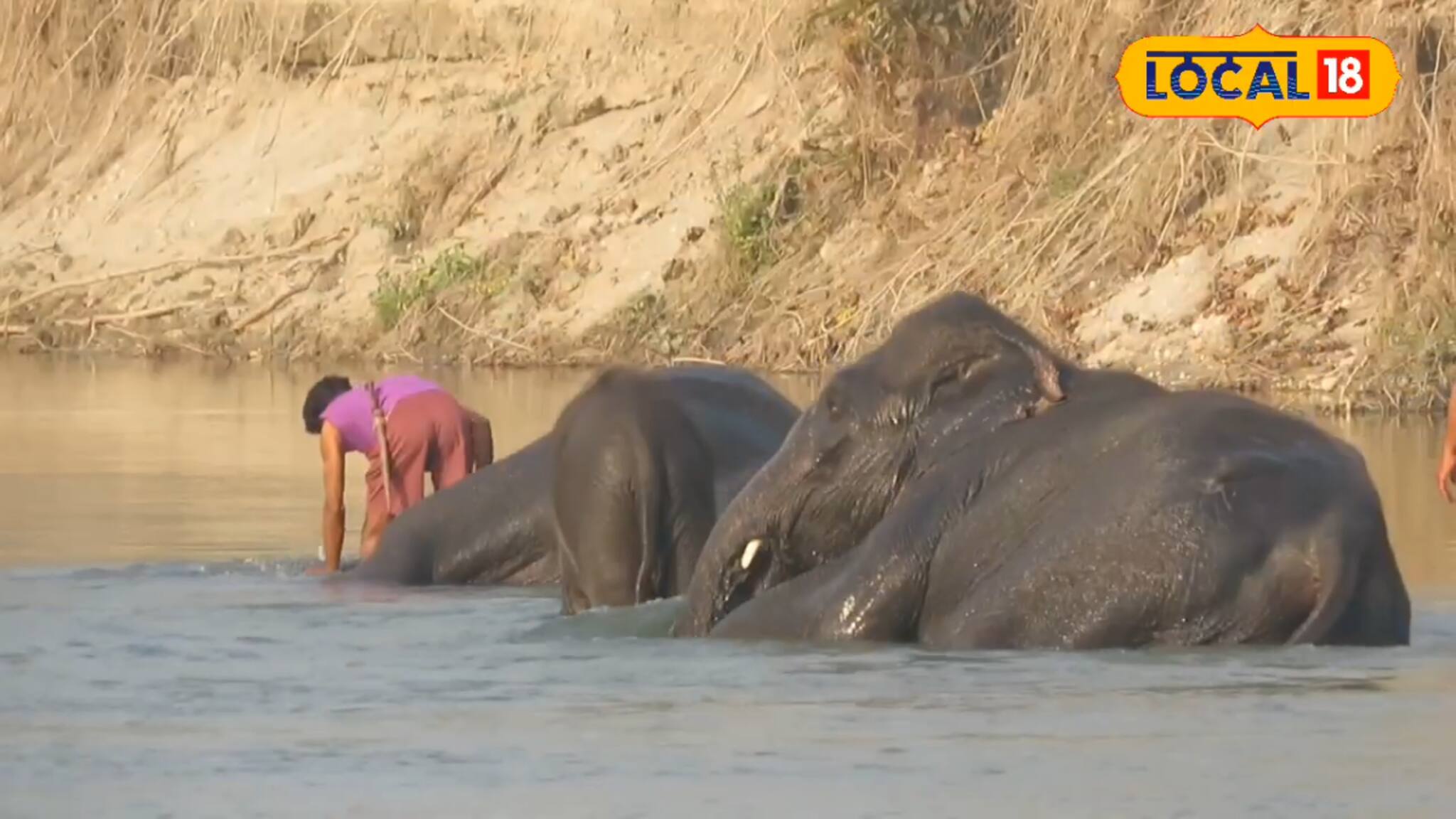 Jalpaiguri News: শীতের মিঠে রোদে বাড়ছে ভিড়, পর্যটকদের নতুন ঠিকানা রামসাই মেদলা টাওয়ার, কেন জানেন?