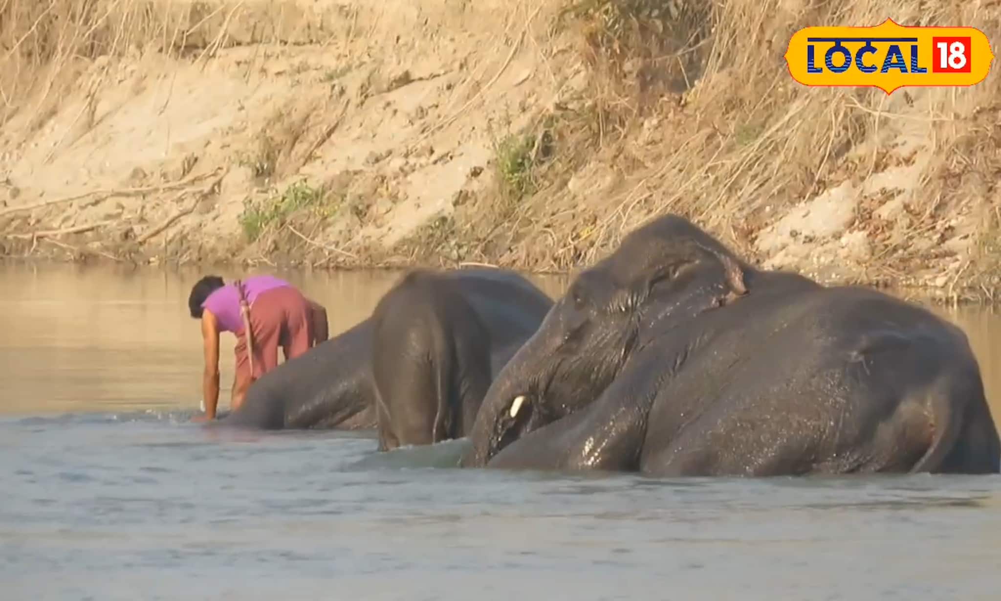 শীতের মিঠে রোদে বাড়ছে ভিড়, পর্যটকদের নতুন ঠিকানা রামসাই মেদলা টাওয়ার, কেন জানেন?