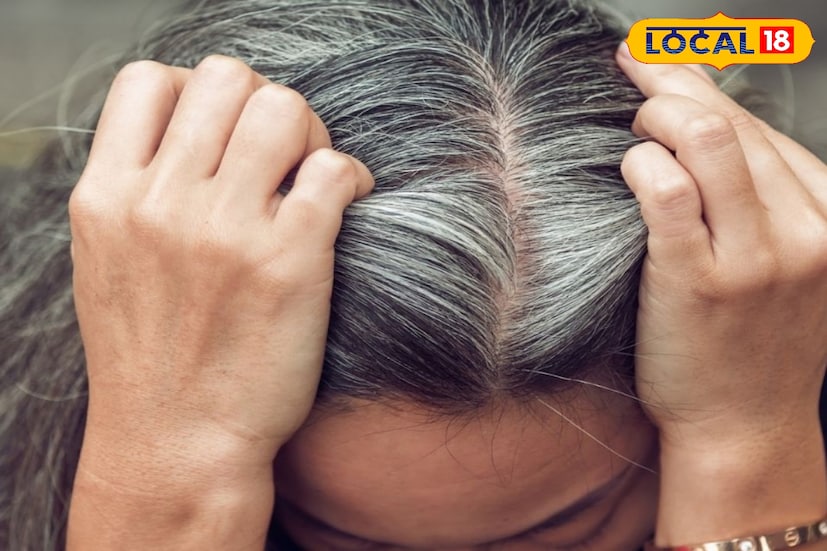 *অল্প বয়সে চুল পেকে যাওয়া বা 'প্রি-ম্যাচিউর গ্রেইং' বর্তমান প্রজন্মের অন্যতম বড় দুশ্চিন্তা। আয়নার সামনে দাঁড়িয়ে মাথার মাঝে রুপোলি চুল উঁকি দিতে দেখলে মন খারাপ হওয়াটাই স্বাভাবিক।