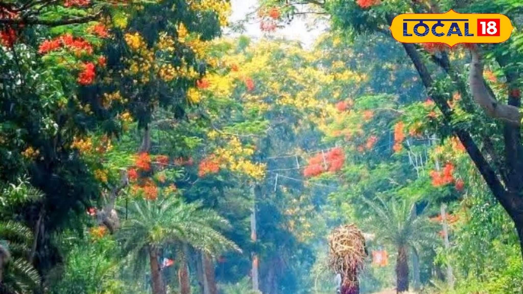 লাল মাটি, শালবন, পাহাড়ের ডাক! জঙ্গলমহলের ৫ গোপন সৌন্দর্য চিনে নিন, সপ্তাহান্তে ঘুরে আসুন