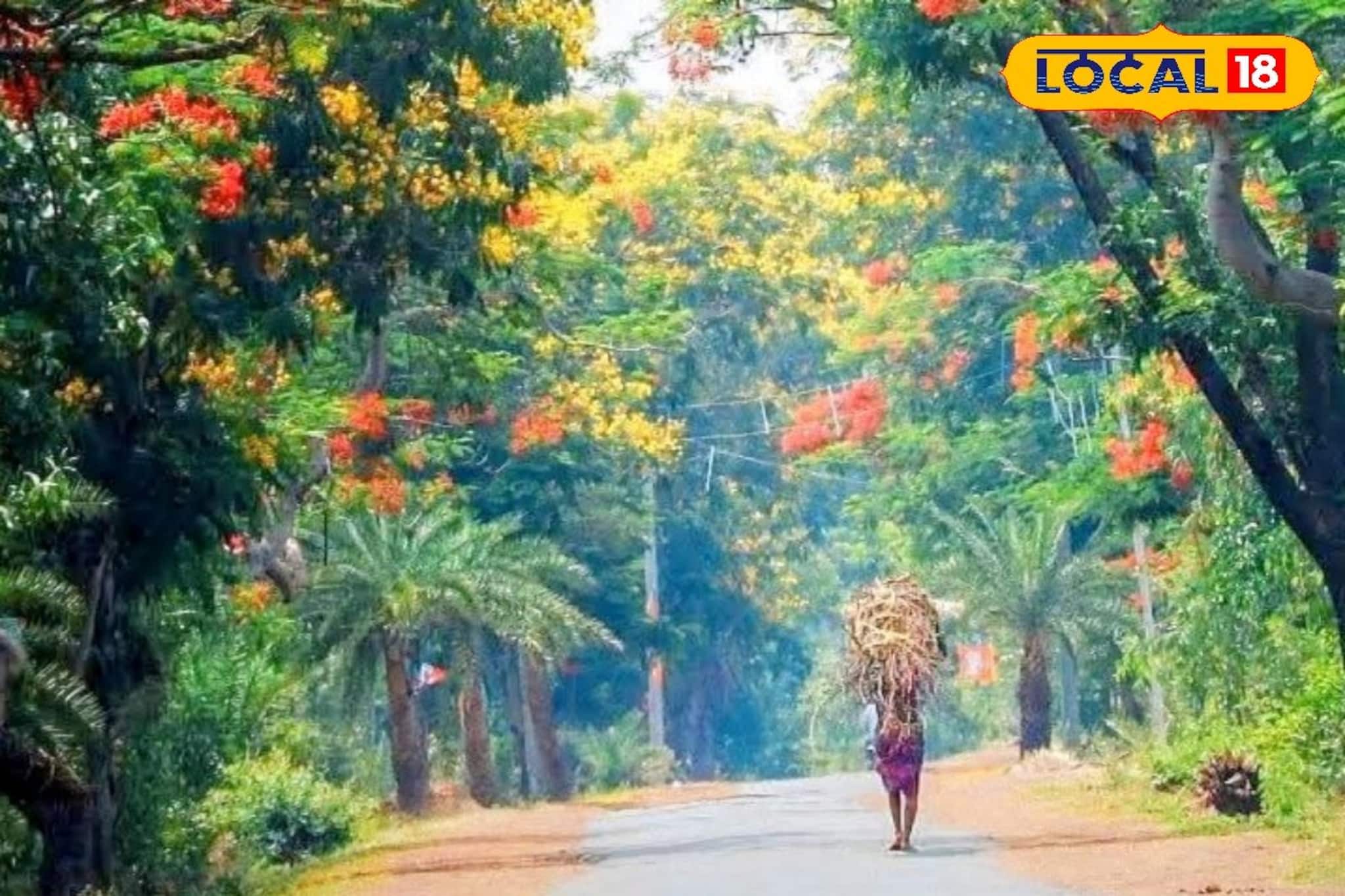 লাল মাটি, শালবন, পাহাড়ের ডাক! জঙ্গলমহলের ৫ গোপন সৌন্দর্য চিনে নিন, সপ্তাহান্তে ঘুরে আসুন