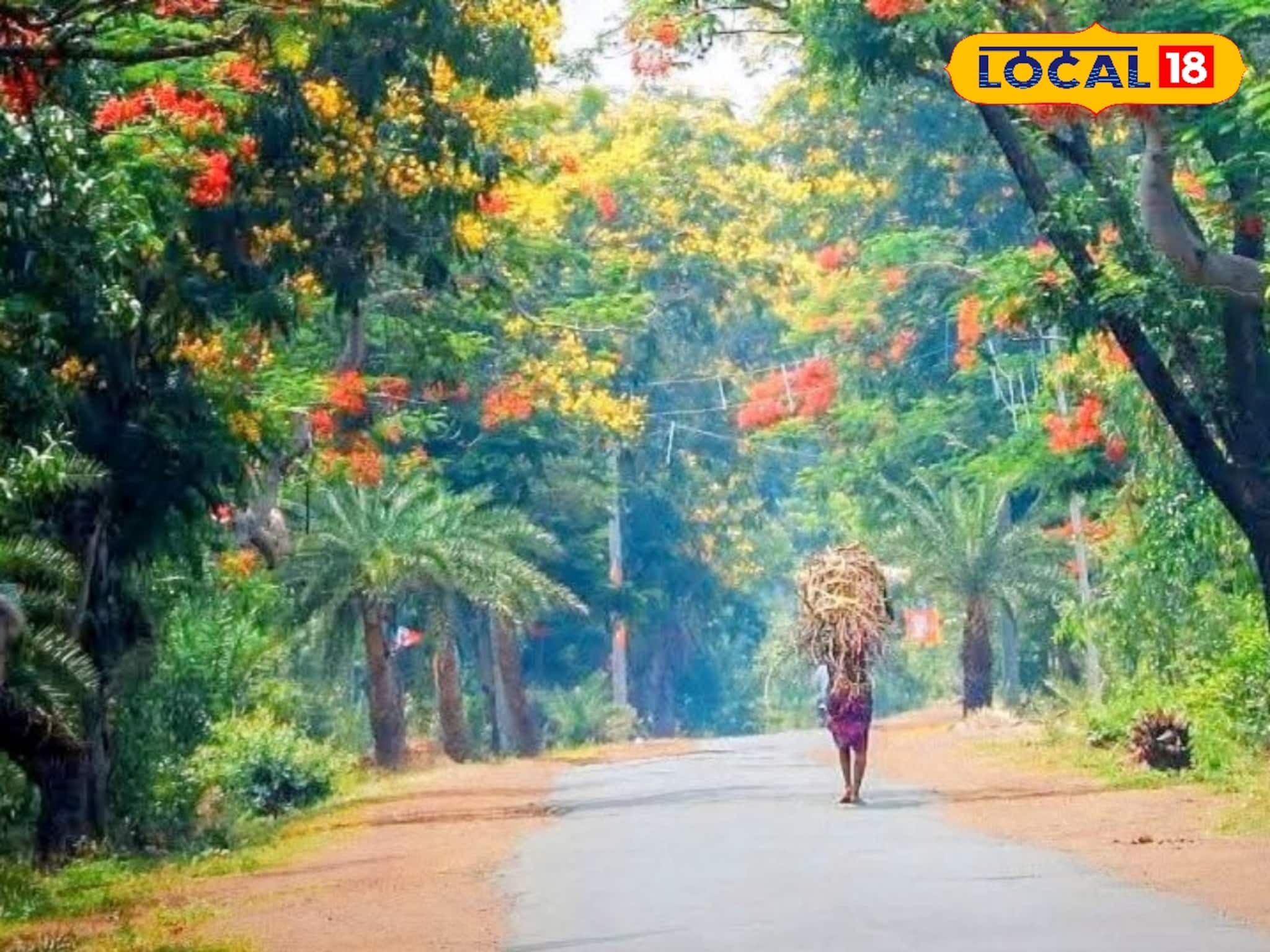 লাল মাটি, শালবন, পাহাড়ের ডাক! জঙ্গলমহলের ৫ গোপন সৌন্দর্য চিনে নিন, সপ্তাহান্তে ঘুরে আসুন