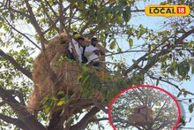 West Medinipur News: গাছের উপর রোমাঞ্চকর 'ট্রি হাউস'! শীতের রাতে অ্যাডভেঞ্চার উপভোগ করুন কেশিয়াড়িতে