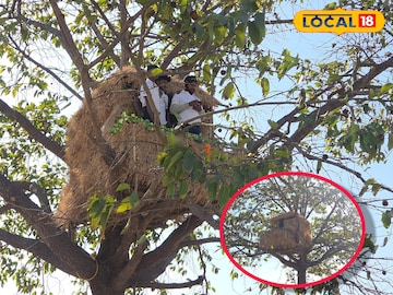 জঙ্গলমহলে