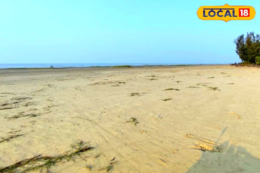 অনেকের কাছেই দিঘা–মান্দারমনি এখন ভিড় আর কোলাহলের নাম। শান্তিতে সময় কাটানোর জায়গা আর নেই। তাই প্রিয়জনের সঙ্গে নিরিবিলি সময় কাটাতে চাইলে ঘুরে আসতে পারেন দিঘার অদূরের কানাইচট্ট সমুদ্র সৈকতে। পূর্ব মেদিনীপুরের এই অফবিট সমুদ্র সৈকত এখনও অনেকের অজানা। প্রকৃতির কোলে, শহরের কোলাহল থেকে দূরে, দু’দণ্ড নিরালায় কাটানোর জন্য আদর্শ জায়গা হয়ে উঠছে কানাইচট্ট।