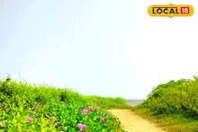 Weekend Trip: কোলাহল ছেড়ে নিরালায় ছুটি কাটাতে চান? তাহলে আপনার জন্য আদর্শ হবে দিঘার অদূরে কানাইচট্ট সমুদ্র সৈকত