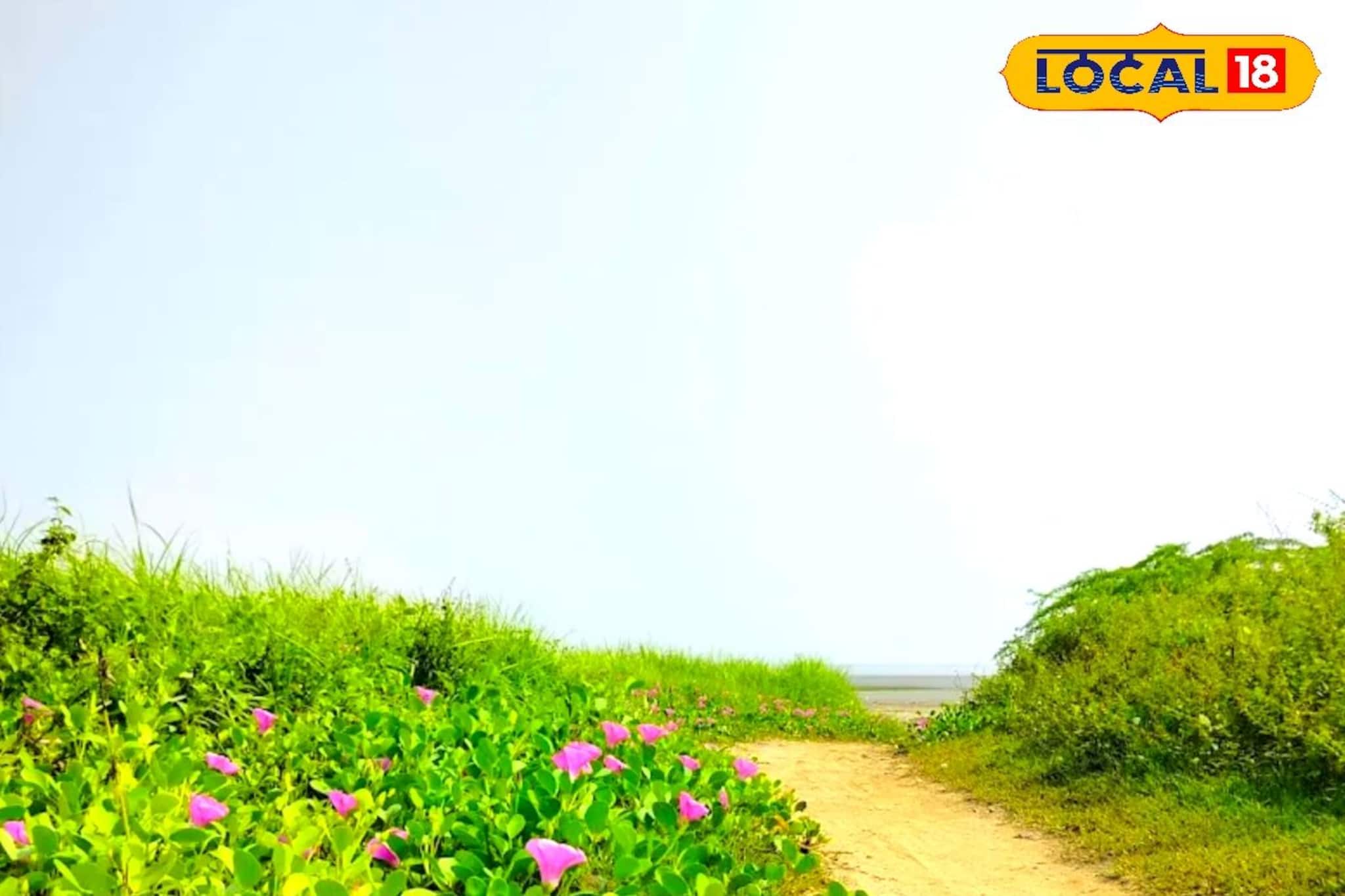 ভিড় নেই, কোলাহল নেই— নির্জনতার খোঁজে উইকএন্ডে ঘুরে আসুন কানাইচট্ট সমুদ্র সৈকতে