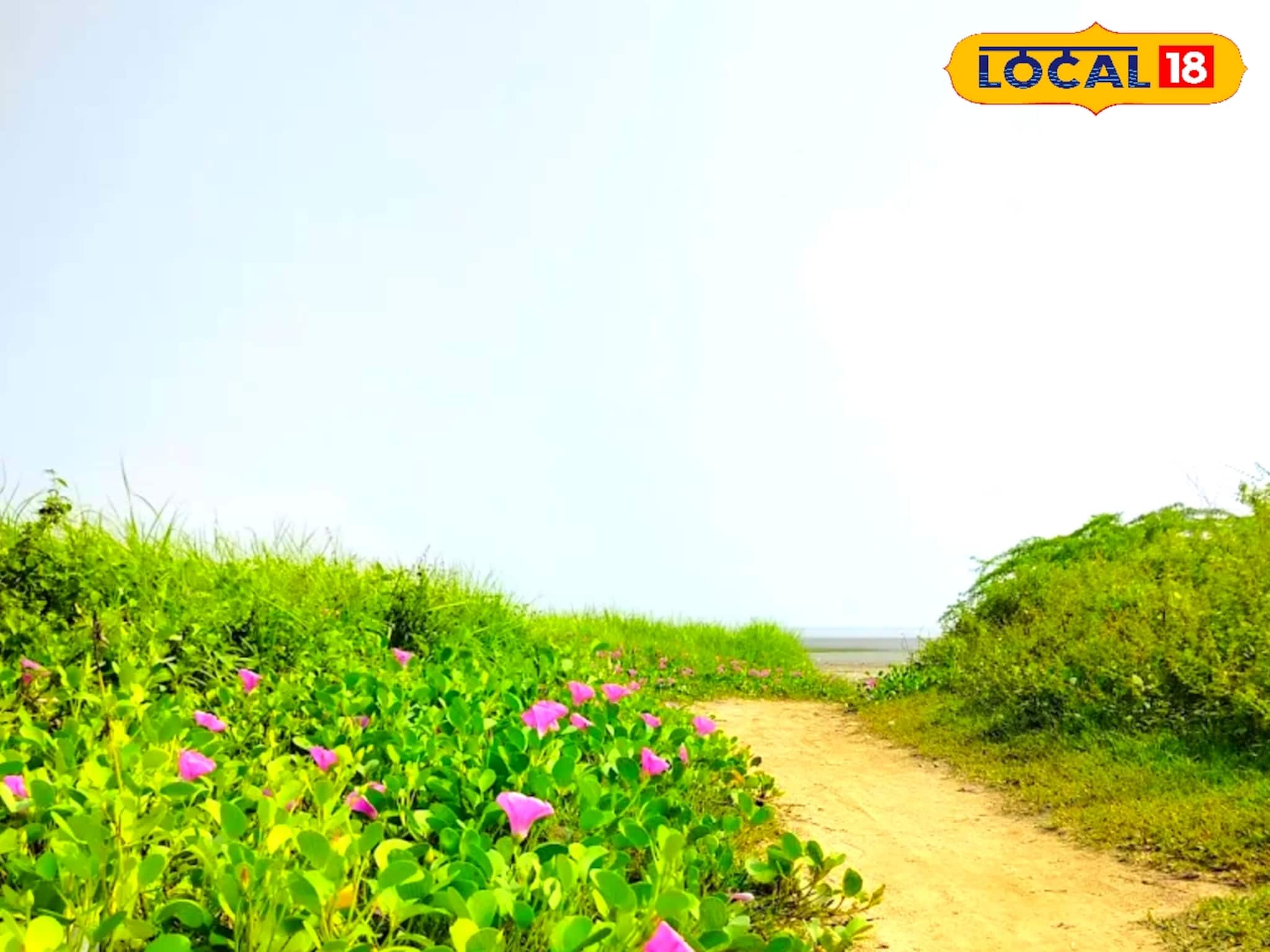 ভিড় নেই, কোলাহল নেই— নির্জনতার খোঁজে উইকএন্ডে ঘুরে আসুন কানাইচট্ট সমুদ্র সৈকতে