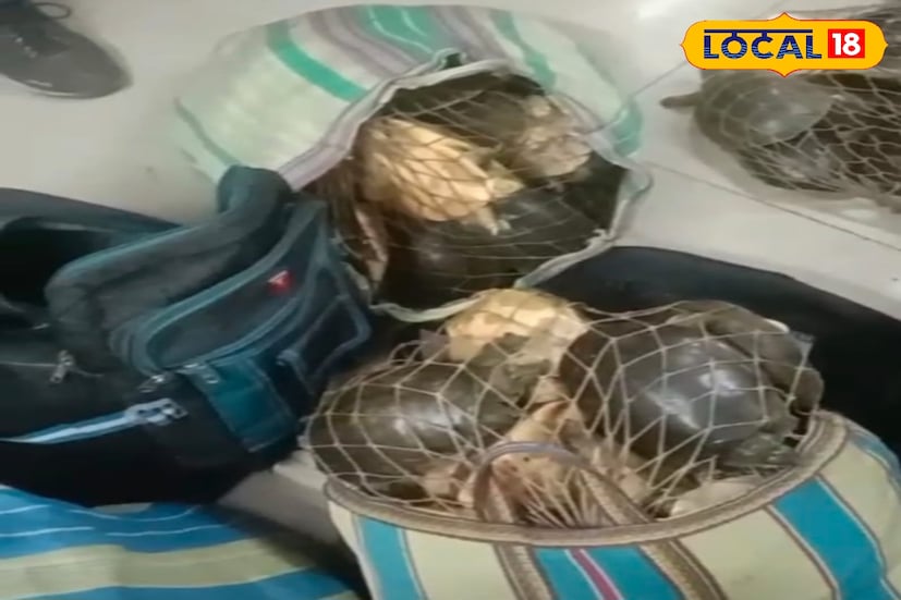 হাওড়া স্টেশনে উদ্ধার হল অসংখ্য বস্তাবন্দি গেঞ্জেস সফট সেল কাছিম। পাচারের উদ্দেশে একসঙ্গে কাছিমগুলিকে নিয়ে যাওয়া হচ্ছিল বলেই অনুমান। (ছবি ও তথ্যঃ রাকেশ মাইতি)