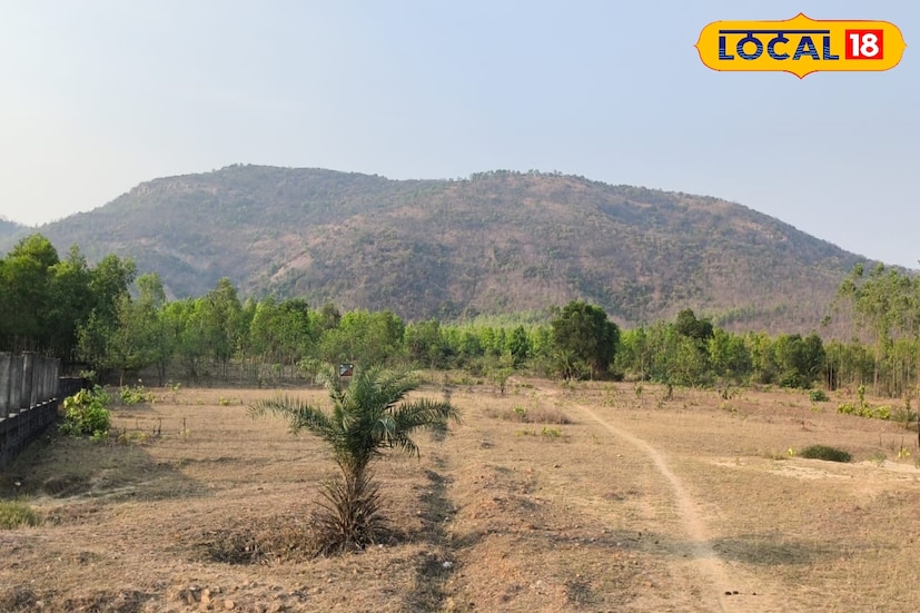 বাঁকুড়া জেলার শুশুনিয়া পাহাড় শুধুমাত্র একটি প্রাকৃতিক সৌন্দর্যের স্থান নয়, এটি একটি গুরুত্বপূর্ণ প্রত্নতাত্ত্বিক অঞ্চলও বটে। হাজার হাজার বছর ধরে এখানে ব্যবহৃত ও নির্মিত পাথরের নিদর্শনের প্রমাণ মিলেছে। সেই প্রাচীন ইতিহাসের ধারাবাহিকতাই আজ নতুন রূপে ধরা দিচ্ছে আধুনিক পাথর কারুশিল্পে, যা পর্যটকদের বিশেষভাবে আকর্ষণ করছে। বাঁকুড়া জেলার শুশুনিয়া পাহাড় শুধুমাত্র একটি প্রাকৃতিক সৌন্দর্যের স্থান নয়, এটি একটি গুরুত্বপূর্ণ প্রত্নতাত্ত্বিক অঞ্চলও বটে। হাজার হাজার বছর ধরে এখানে ব্যবহৃত ও নির্মিত পাথরের নিদর্শনের প্রমাণ মিলেছে। সেই প্রাচীন ইতিহাসের ধারাবাহিকতাই আজ নতুন রূপে ধরা দিচ্ছে আধুনিক পাথর কারুশিল্পে, যা পর্যটকদের বিশেষভাবে আকর্ষণ করছে।