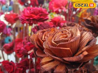 কখনও শুকায় না, চাহিদায় পিছনে ফেলেছে শীতের মরশুমি ফুলকেও! বিকোচ্ছে দেদার