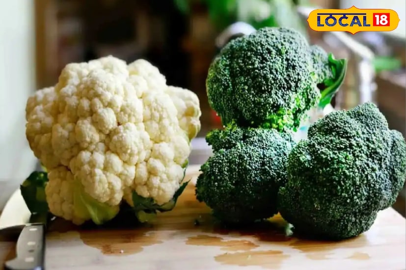 ফুলকপি নাকি ব্রকলি—স্বাস্থ্য সচেতন মানুষের কাছে এই প্রশ্ন এখন বেশ পরিচিত। দু’টিই ক্রুসিফেরাস গোত্রের সবজি, রান্নায় জনপ্রিয় এবং পুষ্টিগুণে ভরপুর। তবে প্রোটিন, ফাইবার ও অন্যান্য ভিটামিন–মিনারেলের দিক থেকে কোনটি বেশি এগিয়ে, তা জানলে খাদ্যতালিকা বেছে নেওয়া আরও সহজ হয়।