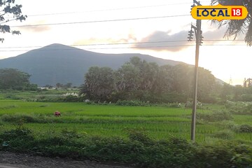 আবহাওয়ার ভোলবদল...! মকর সংক্রান্তিতে শীতের কামড়, হাড়কাঁপানো ঠান্ডায় কাঁপবে বাংলা