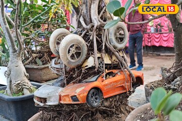 গাছের গোড়ায় ল্যাম্বরগিনি! গাড়ি দেখে থমকে যাচ্ছেন দর্শনার্থীরা