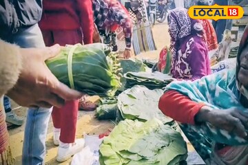 পিঠে তৈরির জন্য লাগবেই লাগবে! মকর সংক্রান্তির আগে বসেছে 'শালপাতার হাট'