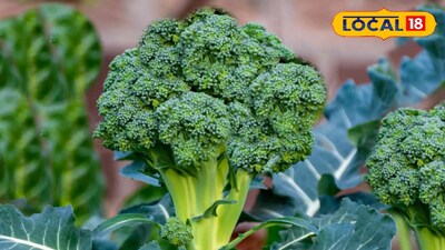 ব্রকোলি খাওয়ার উপকারিতা 