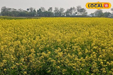 সরস্বতী পুজোয় DDLJ-র পোজে ছবি! নীল আকাশের নিচে হলুদের ছটাই গলে যাবে সঙ্গীর মন, কোথায় পাবেন