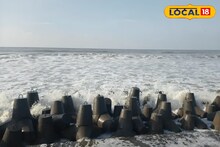 Digha Tourism: দিঘা ভ্রমণে বাড়তি পাওনা! সমুদ্রের পাড়ে রাজস্থানের রাজবাড়ি! স্বদেশ মেলা আর গঙ্গোৎসবে মাতোয়ারা পর্যটকরা