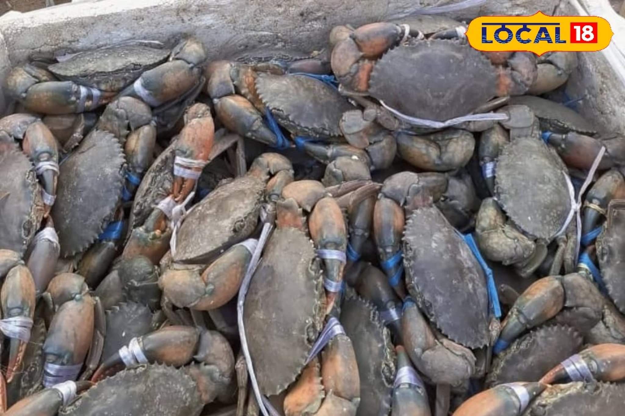 হাওড়ার আলুরদম ও কাঁকড়া মেলায় গেছেন? দূর-দূরান্ত থেকে ছুটে আসেন লাখ লাখ মানুষ