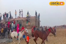 Bangla News: ঘোড়ার পিঠের সওয়ারি মরণ কামড়! টেনেহিঁচড়ে নিয়ে গেল কয়েকশো মিটার! ক্যানিংয়ের হাড়হিম ঘটনা জানুন