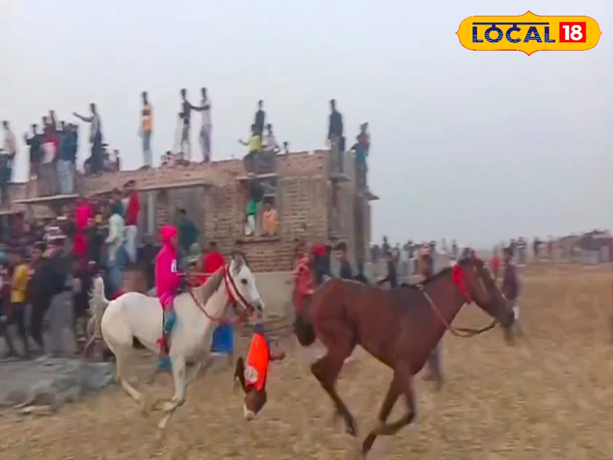 ঘোড়ার পিঠের সওয়ারি মরণ কামড়! টেনেহিঁচড়ে নিয়ে গেল কয়েকশো মিটার! ক্যানিংয়ের হাড়হিম ঘটনা