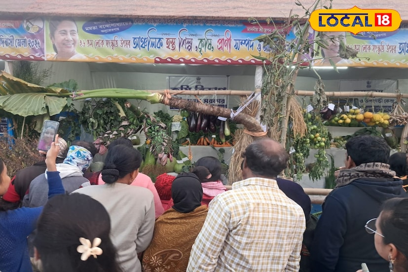 পূর্বস্থলী ১ ব্লকের শ্রীরামপুর লোকসংস্কৃতি উৎসব কৃষি ও হস্তশিল্প মেলায় এই বছর সবথেকে বেশি নজর কেড়েছে সবজির প্রদর্শনী স্টলে রাখা এক বিশালাকার মানকচু। প্রায় দশ ফুট লম্বা এই মানকচু দেখে রীতিমতো চমকে যাচ্ছেন মেলায় আসা মানুষ। এমন ব্যতিক্রমী সবজি প্রদর্শনীতে আসবে, তা কল্পনাও করতে পারেননি অনেকেই। (ছবি ও তথ্যঃ বনোয়ারীলাল চৌধুরী)