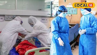 নিপা ভাইরাস