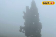 IMD Weather Update: ঠান্ডা এখনই শেষ হচ্ছে না, কুয়াশার ঘনত্বও বাড়বে বাংলার একাধিক জেলায়! ওয়েদার আপডেট