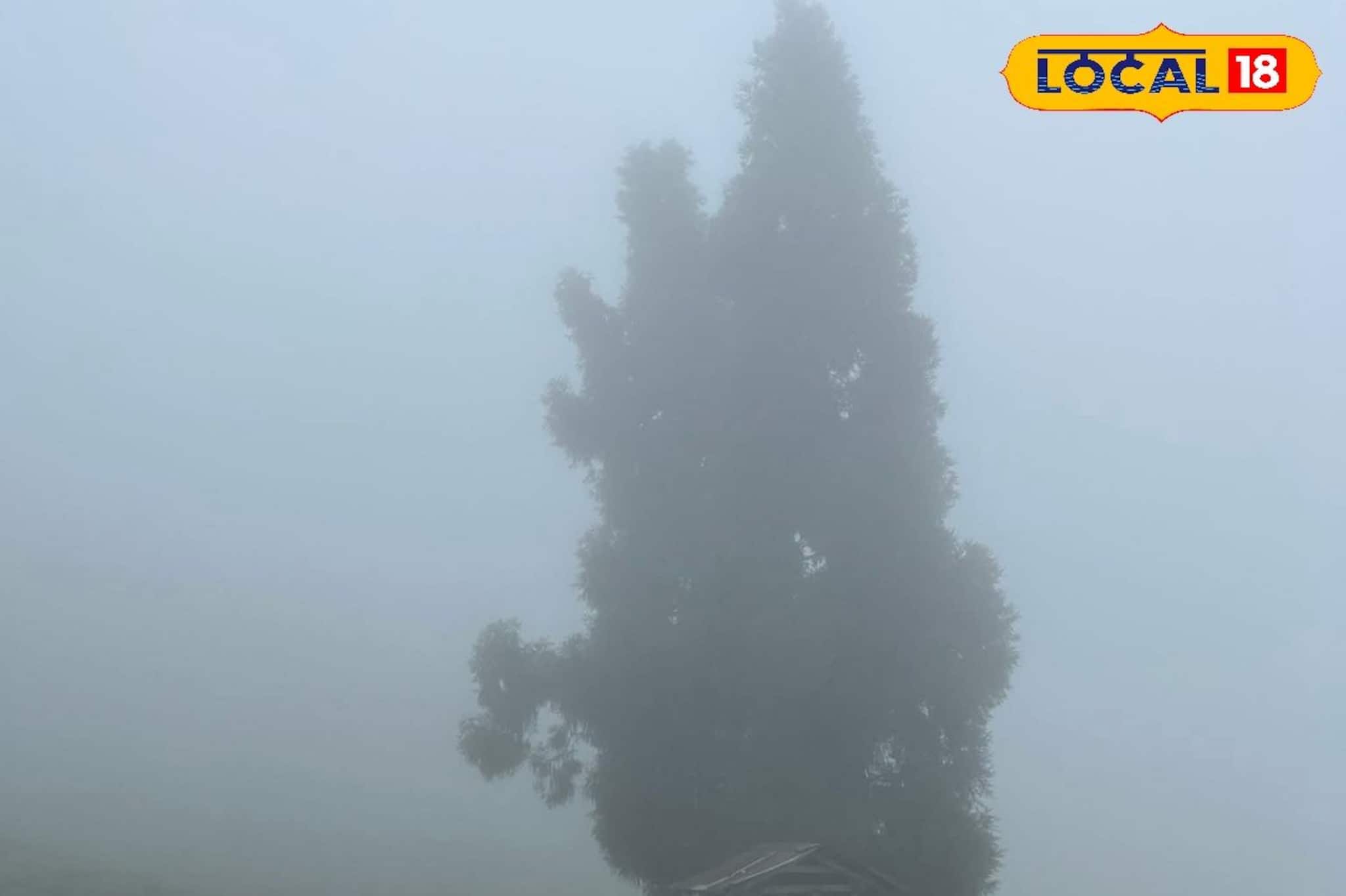 ঠান্ডা এখনই শেষ হচ্ছে না, কুয়াশার ঘনত্বও বাড়বে বাংলার একাধিক জেলায়! ওয়েদার আপডেট