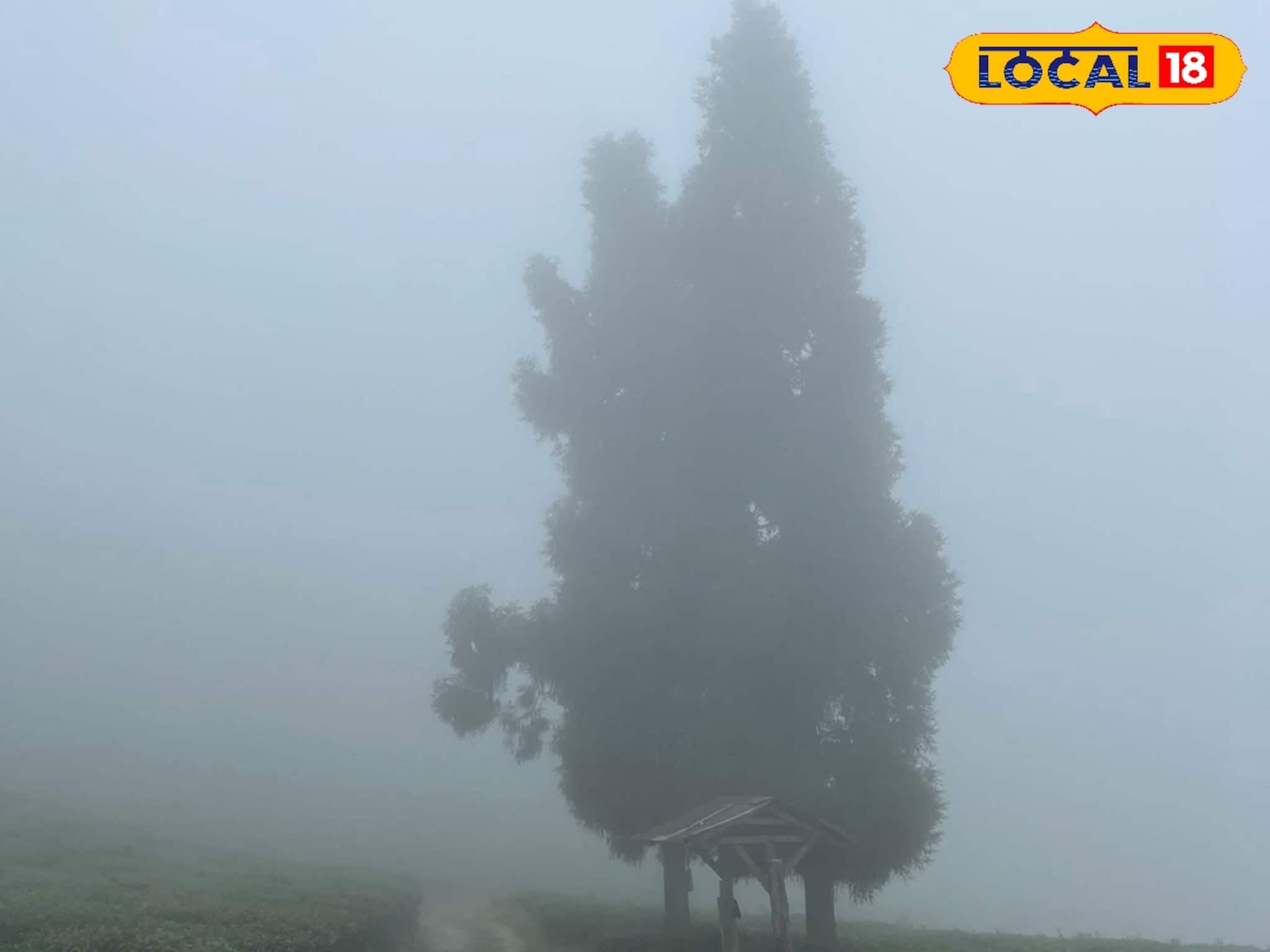 ঠান্ডা এখনই শেষ হচ্ছে না, কুয়াশার ঘনত্বও বাড়বে বাংলার একাধিক জেলায়! ওয়েদার আপডেট