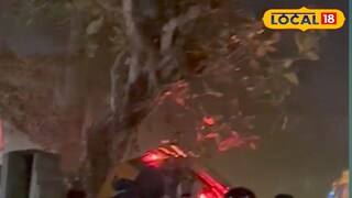 গাছে ঝুলেছে অটো