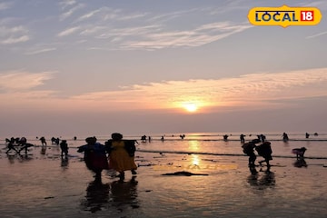 কনকনে শীতে জবুথবু নাকি স্লিভলেস ব্লাউজে কাটবে সরস্বতী পুজো?কলকাতা-সহ বাংলার আবহাওয়ার আপডেট