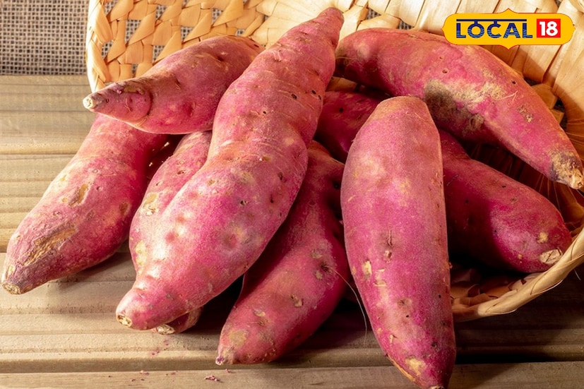 *সব বাড়িতেই মিষ্টি আলুর পিঠে, পায়েস বা পোঙ্গল রীতিমতো আবশ্যিক। ভিটামিন এ ও ফাইবারে ভরপুর বলে মিষ্টি আলু যেমন স্বাস্থ্যের জন্য উপকারী, তেমনই শিশুদের খাদ্যতালিকায়ও রাখা উচিত বলে বলছেন বিশেষজ্ঞরা। তবে একটা সমস্যাই বেশি।